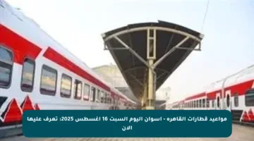 مواعيد قطارات القاهرة – أسوان اليوم السبت 16 أغسطس 2025: تعرف عليها الآن